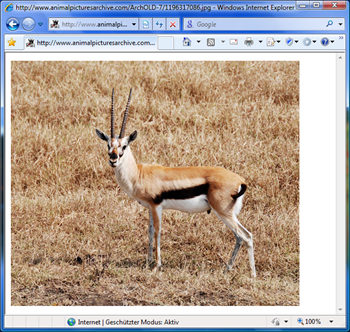 Gazelle - Microsoft Browser-Prototyp